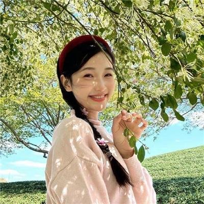 极地先锋